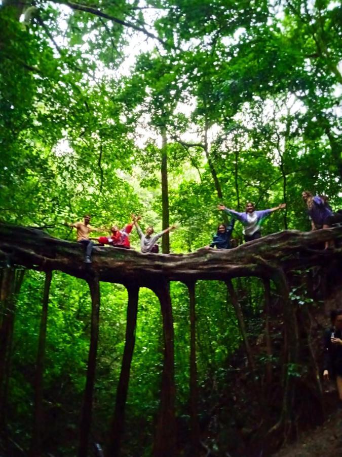 Monteverde Mi Casa Tica旅舍 外观 照片